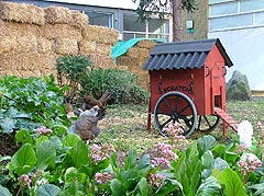 ScratchEventDocumentation