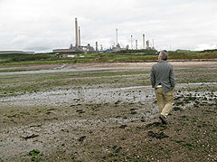 Milford Swallows project - images of research phase